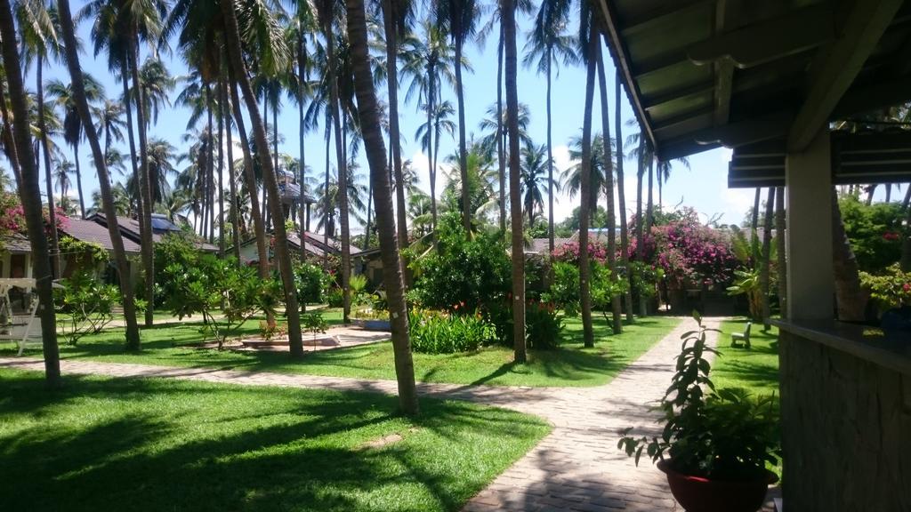 Catsen Bungalows & Rooms Муйне Экстерьер фото
