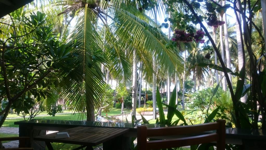 Catsen Bungalows & Rooms Муйне Экстерьер фото